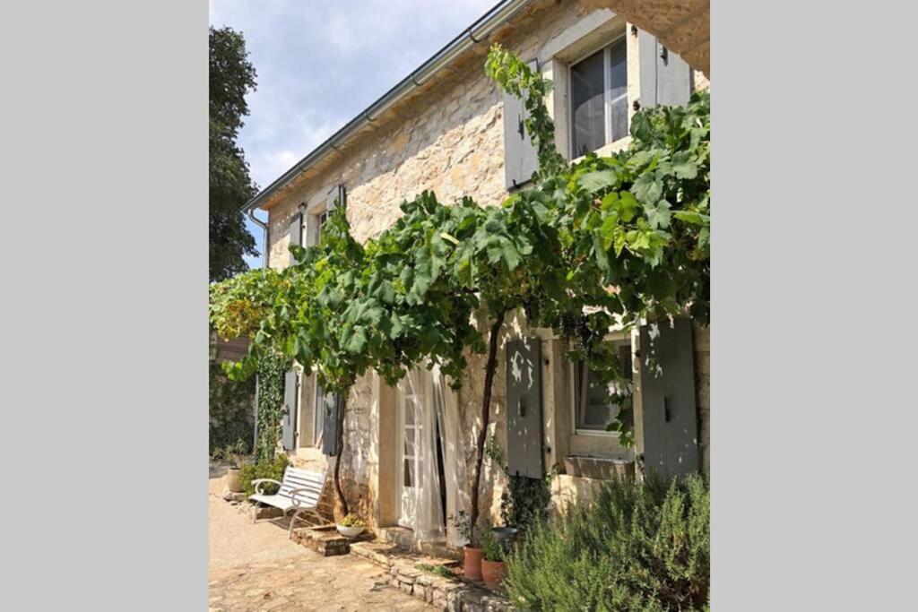 Ferienhaus Villa Alisia, Wunderschoenes Natursteinhaus Bei Porec, Istrien, Kroatien Vranje Selo Dış mekan fotoğraf